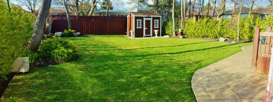 36 barksdale back2_resized