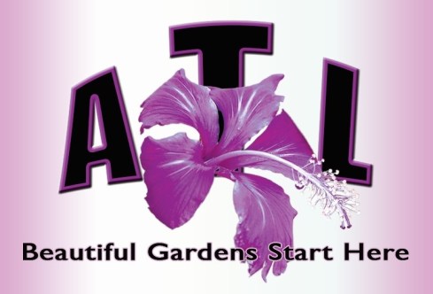 ATL BC PRINT BACK copy1.jpg