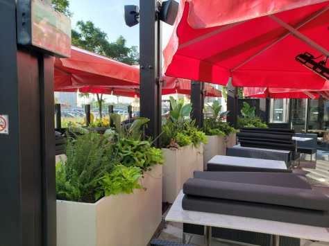 IMG-20200604-WA0005[1]